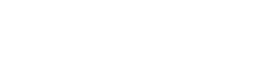 Logo Verdsatile